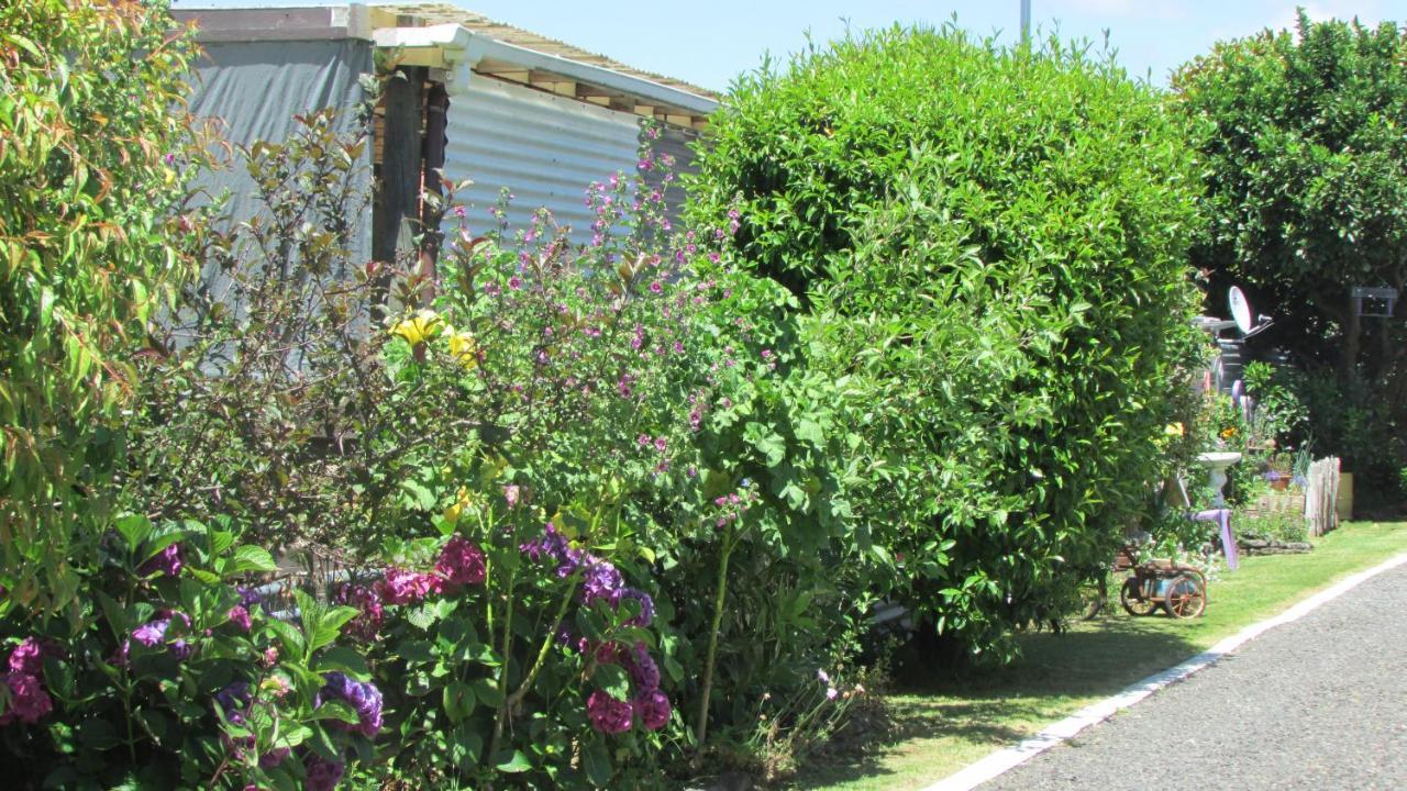 Apartamento Cozy Haven - Waihi Exterior foto